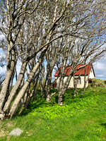 Farmhouse near Seljalandsfoss Waterfall