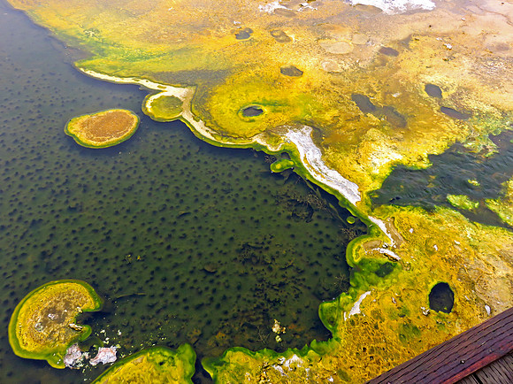 Yellowstone National Park