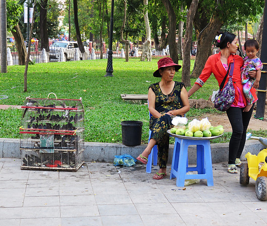 In a park at Wat Phnom, birds are sold for "merit release," a Buddhist custom that endangers birds.