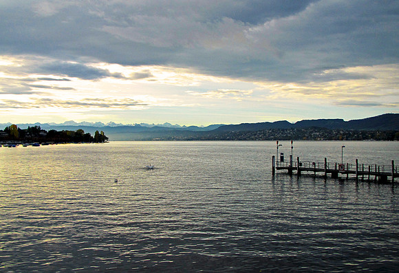 Lake Zurich morning