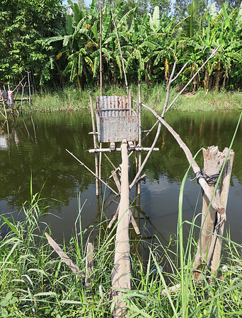 Village community toilet