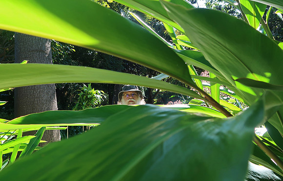 Russell at the Botanical Gardens, Puerto de la Cruz