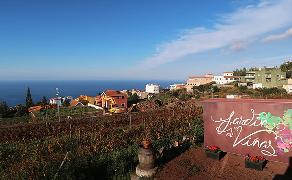Casa del Vino near El Sauzal