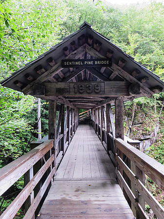 Sentinel Pine Covered Bridge