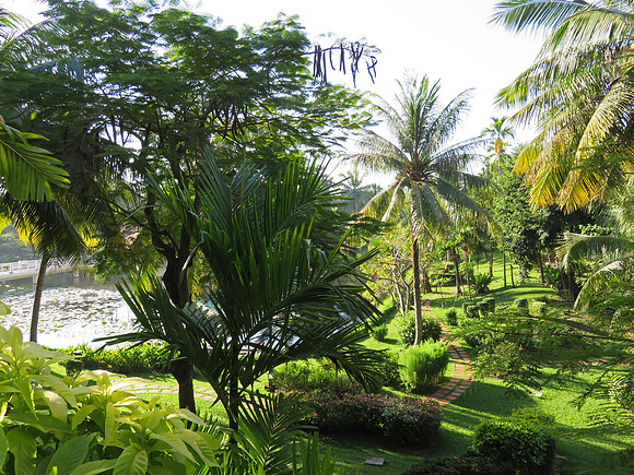View from our room at the Sofitel Angkor Resort